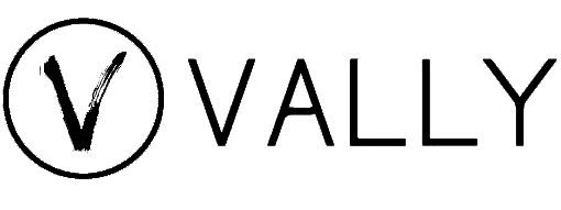 logo vally